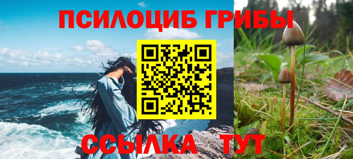 Галлюциногенные грибы MAGIC MUSHROOMS Шадринск